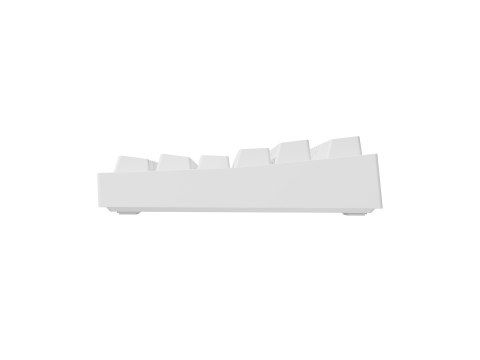 GENESIS GENESIS Thor 404 TKL klawiatura Gaming USB QWERTY Amerykański międzynarodowy Biały