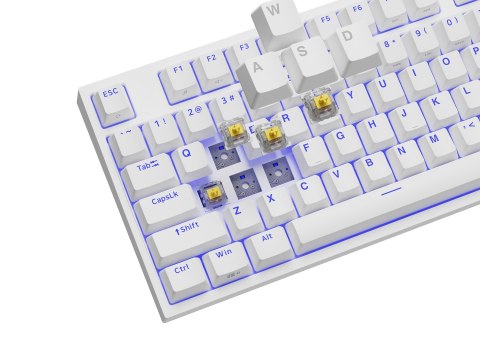 GENESIS GENESIS Thor 404 TKL klawiatura Gaming USB QWERTY Amerykański międzynarodowy Biały