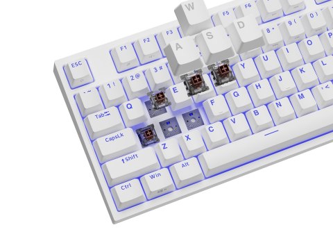 GENESIS GENESIS Thor 404 TKL klawiatura Gaming USB QWERTY Amerykański międzynarodowy Biały