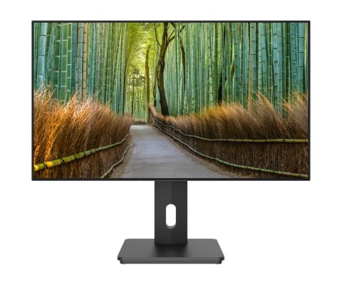No name Monitor JAPANNEXT 68.5cm JN-27IPS4FLWQHDR-HSP 16:9 HDMI/DP WQHD