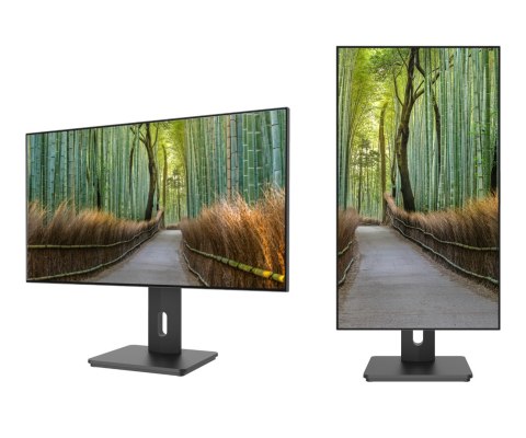 No name Monitor JAPANNEXT 68.5cm JN-27IPS4FLWQHDR-HSP 16:9 HDMI/DP WQHD