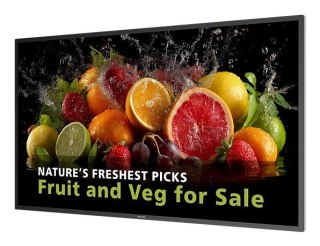 No name Philips 5000 series 43BDL5050D Płaski panel Digital Signage 108 cm (42.5") LCD Wi-Fi 600 cd/m2 4K Ultra HD Czarny Procesor wbudo