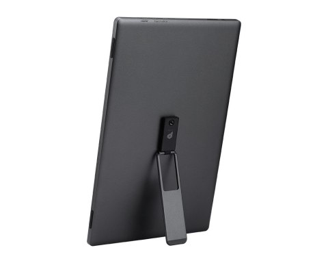 MSI MSI PRO MP161DE E2 monitor komputerowy 39,6 cm (15.6") 1920 x 1080 px Full HD LED Czarny