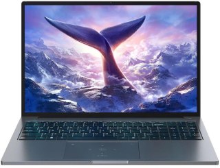 Blackview Blackview GamiBook-8 Ryzen 7 7735HS 16" WUXGA AntiGlare 32GB 1TB BT BLKB FPR W11Pro Grey