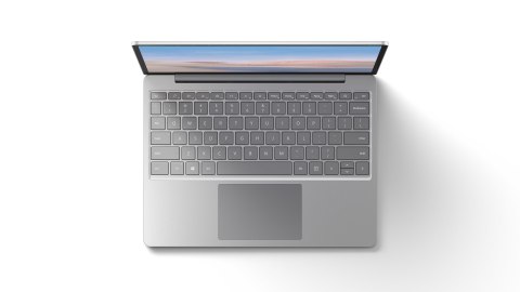 Microsoft (OEM) Microsoft Surface Go i5 10th/8GB/256G Win10 PRO