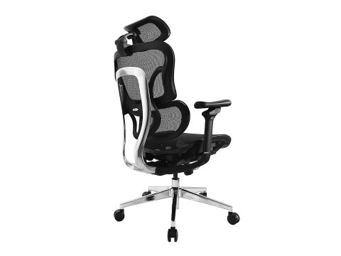 EQUIP Wyposaż Ergonomiczne Krzesło Biurowe + Zagłówek/Podłokietniki Lite Sprzedaż Detaliczna