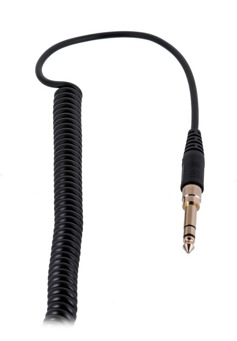 Beyerdynamic Beyerdynamic DT 770 PRO 250 OHM BLACK LIMITED EDITION - Słuchawki studyjne zamknięte