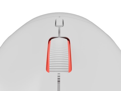 GENESIS GENESIS Zircon XIII myszka Gaming Oburęczny RF Wireless + USB Type-C Optyczny 26000 DPI