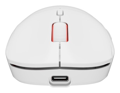 GENESIS GENESIS Zircon XIII myszka Gaming Oburęczny RF Wireless + USB Type-C Optyczny 26000 DPI