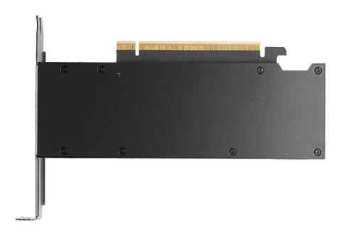 PNY Technologies Karta graficzna PNY Quadro RTX PRO 2000 Blackwell 16GB GDDR7 4xmDP