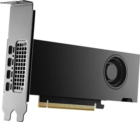 PNY Technologies PNY NVIDIA 2000 Ada 16GB LowProfile, PCIe 4.0 x16, Dual Slot, 4x Mini DP 1.4a, 16 GB GDDR6 ECC 128-bit, HDCP 2.2, HDMI 2.0, smal