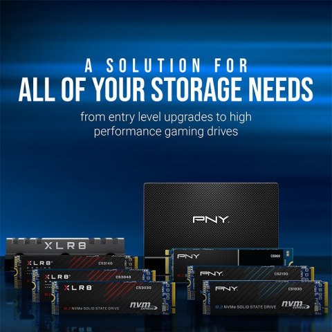 PNY Technologies Dysk SSD PNY CS1030 2TB M.2 2280 PCI-E x4 Gen3 NVMe