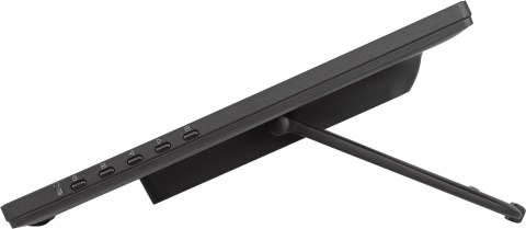 IIYAMA Iiyama T2455MSC-B2 dotykowy panel sterowania 60,5 cm (23.8") 1920 x 1080 px