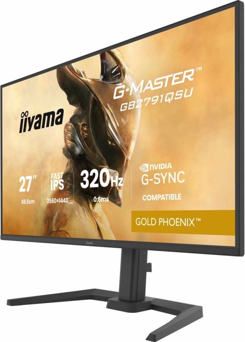 IIYAMA MONITOR IIYAMA LED 27" GB2791QSU-B1 320Hz