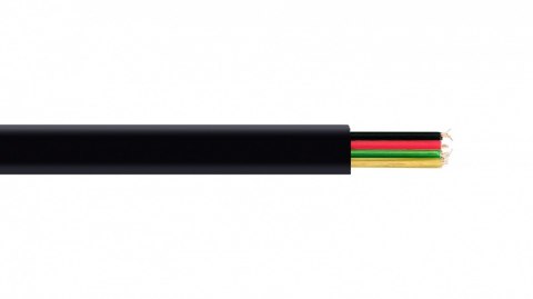 Gembird Kabel telefoniczny 4 żyły czarny 100m rolka linka
