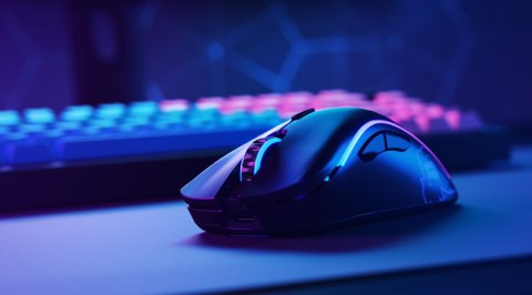 GLORIOUS Glorious PC Gaming Race GLO-MS-DW-MB myszka Po prawej stronie RF Wireless 19000 DPI