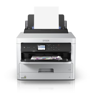 Epson Epson DURABrite Pro