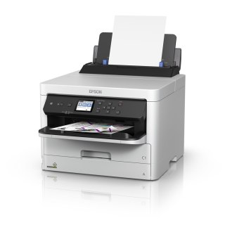 Epson Epson DURABrite Pro