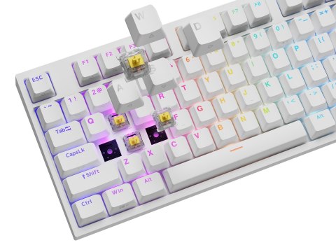 GENESIS Klawiatura GENESIS THOR 404 uniwersalne USB QWERTY Angielski Biały