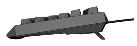 GENESIS GENESIS Thor 230 TKL klawiatura Gaming USB QWERTY US English Czarny