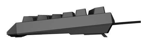 GENESIS GENESIS Thor 230 TKL klawiatura Gaming USB QWERTY US English Czarny