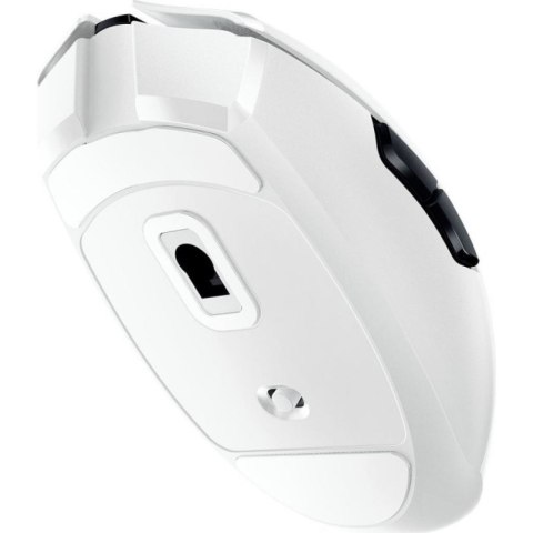 RAZER Razer Orochi V2 myszka Gaming Po prawej stronie RF Wireless Optyczny 18000 DPI