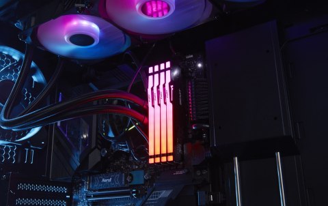 Kingston Kingston FURY DDR5 16GB (2x8GB) 6000MHz CL36 Beast Black RGB EXPO