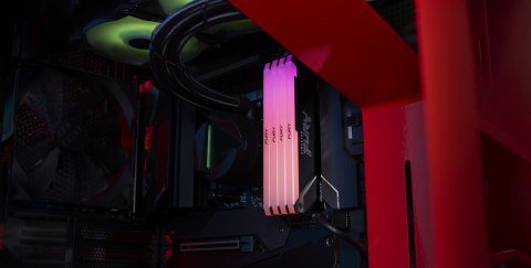 Kingston Kingston Technology FURY Beast RGB moduł pamięci 32 GB 2 x 16 GB DDR4 3200 MT/s