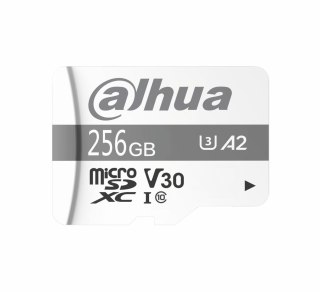 DAHUA Karta pamięci SD Dahua TF-P100 256GB MicroSD UHS-I Klasa 10 (1.0.99.80.10039)