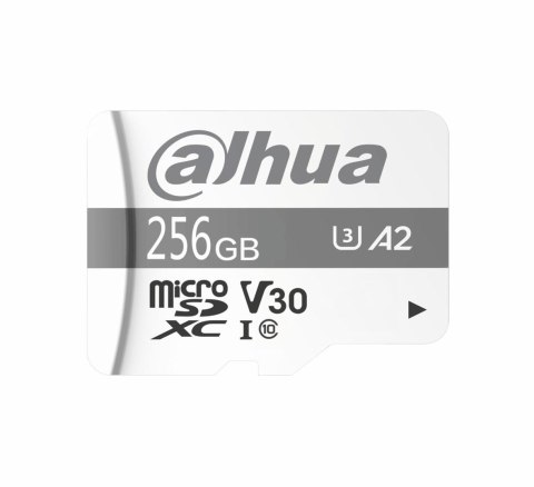 DAHUA Karta pamięci SD Dahua TF-P100 256GB MicroSD UHS-I Klasa 10 (1.0.99.80.10039)