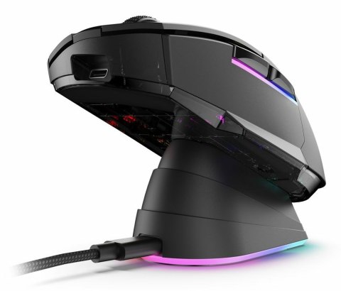 Sharkoon Mysz optyczna RGB Skiller SGM50W czarna + stacja