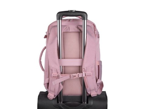 Natec Plecak do laptopa Camel Lite 15.6 cala różowy 19L