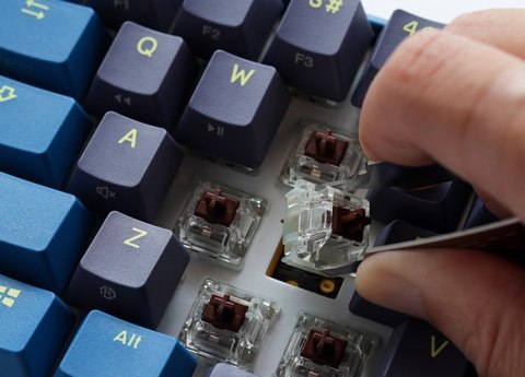Ducky Ducky One 3 Daybreak Mini klawiatura Gaming USB Niemiecki Czarny, Niebieski, Zielony
