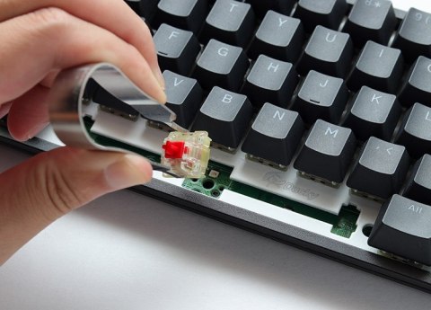 Ducky Ducky One 3 Yellow TKL klawiatura Gaming USB Niemiecki Żółty