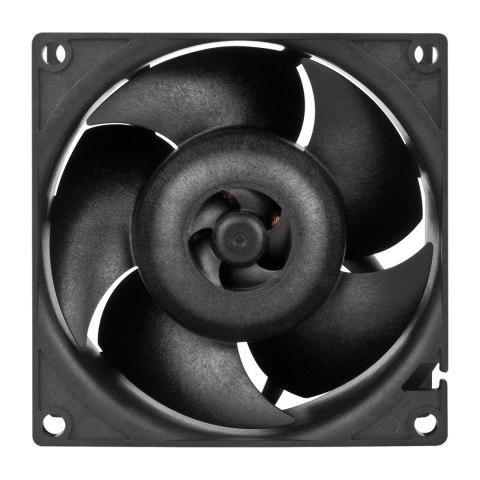Arctic Cooling ARCTIC S8038-10K Procesor Wentylator 8 cm Czarny 4 szt.