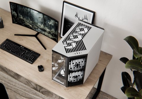 Arctic Cooling Obudowa APNX V1, Midi-Tower, ATX, Tempered Glass, czarno-biała