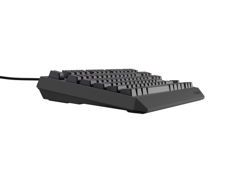 GENESIS GENESIS Thor 230 TKL klawiatura Gaming USB QWERTY Czeski, Słowacki Czarny