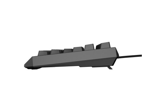 GENESIS GENESIS Thor 230 TKL klawiatura Gaming USB QWERTY Czeski, Słowacki Czarny