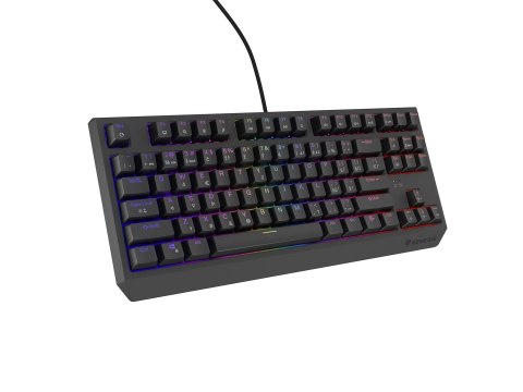 GENESIS GENESIS Thor 230 TKL klawiatura Gaming USB QWERTY Czeski, Słowacki Czarny