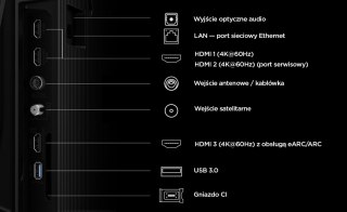 TCL Telewizor 55 cali LED 55P6L