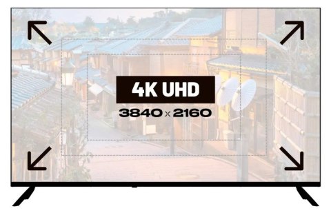 No name Monitor JAPANNEXT 127,0cm JN-IPS500UHD60F 16:9 3x HDMI UHD