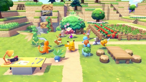 NINTENDO Nintendo Switch 2 & Pokemon Pokopia przenośna konsola do gier 20,1 cm (7.9") 256 GB Ekran dotykowy Wi-Fi Czarny