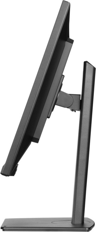 IIYAMA Monitor IIYAMA 80.0cm (32,0") XUB3297QSNP-B1 16:9 2xHDMI+DP+USB-C