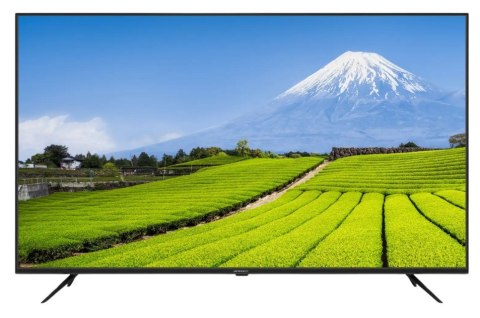 No name Monitor JAPANNEXT 139,7cm 16:9 3x HDMI UHD JN-IPS550UHD60F