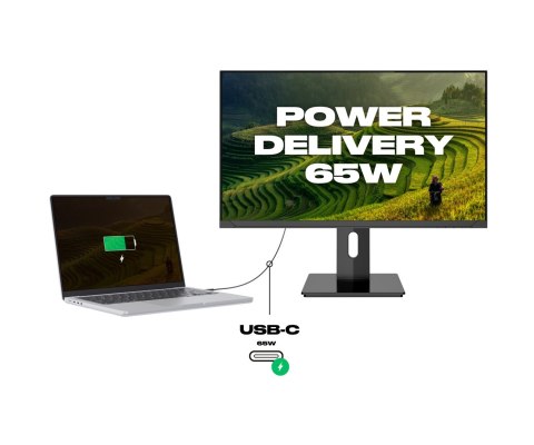 No name Monitor JAPANNEXT 60,5 cm JN-IPS2380UHDR-C65W-HSP 16:9 HDMI/DP UHD