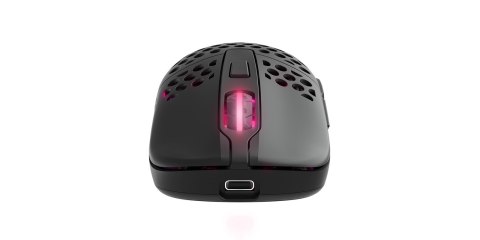 Cherry CHERRY XTRFY M42 RGB myszka Gaming Oburęczny RF Wireless + USB Type-C Optyczny 19000 DPI