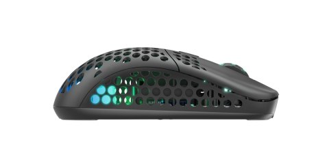 Cherry CHERRY XTRFY M42 RGB myszka Gaming Oburęczny RF Wireless + USB Type-C Optyczny 19000 DPI