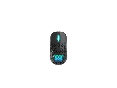 Cherry CHERRY XTRFY M42 RGB myszka Gaming Oburęczny RF Wireless + USB Type-C Optyczny 19000 DPI