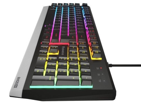 GENESIS Klawiatura GENESIS NKG-1817 Gaming USB QWERTY Portugalski