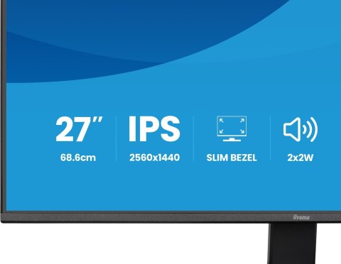 IIYAMA MONITOR IIYAMA LED 27" X2791QS-B1